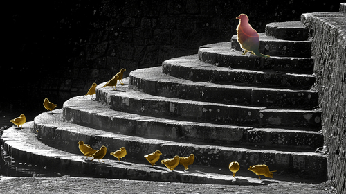 年功序列／お山の大将 のメイン画像